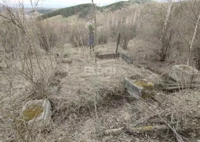 Участок в Алтай, Горно-Алтайск Обозостроительный садовое товарищество, ... - Фото 1