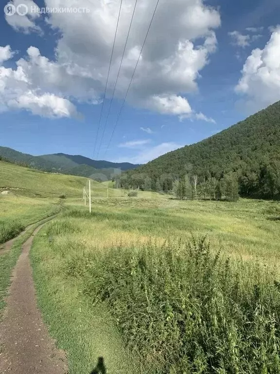 Участок в Шебалинский район, село Шебалино (7 м) - Фото 1