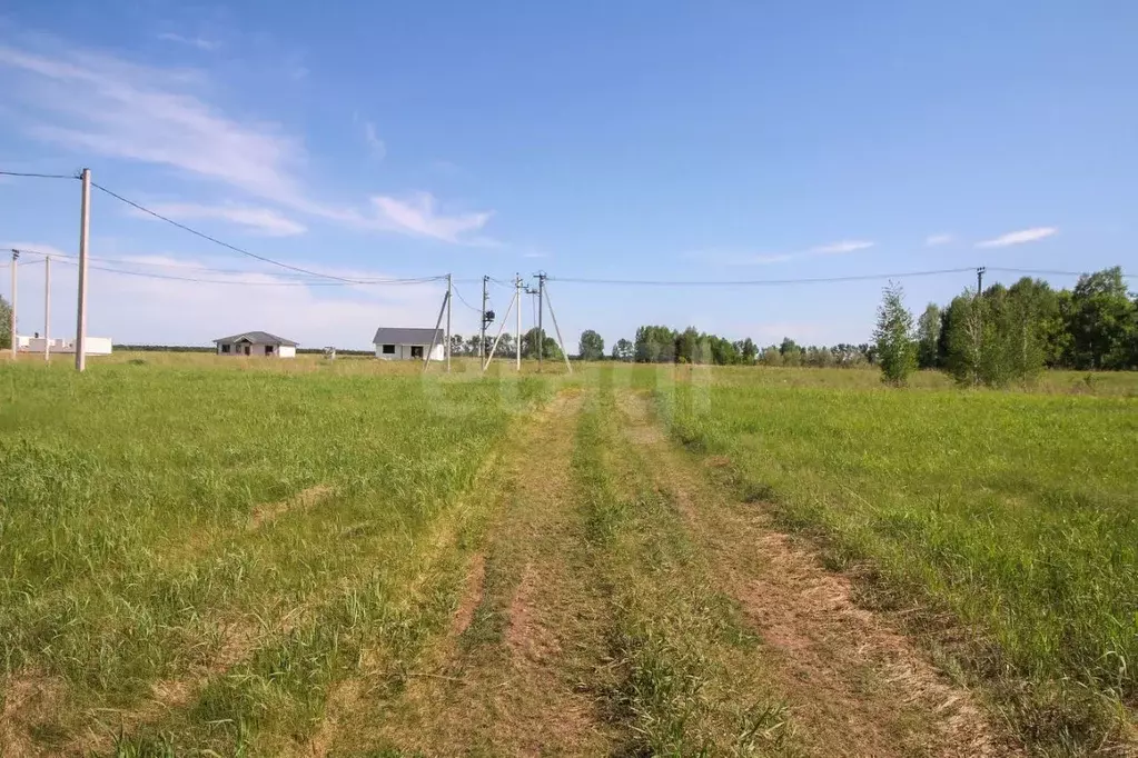 Участок в Алтайский край, Первомайский район, с. Фирсово, Полесье мкр  ... - Фото 1