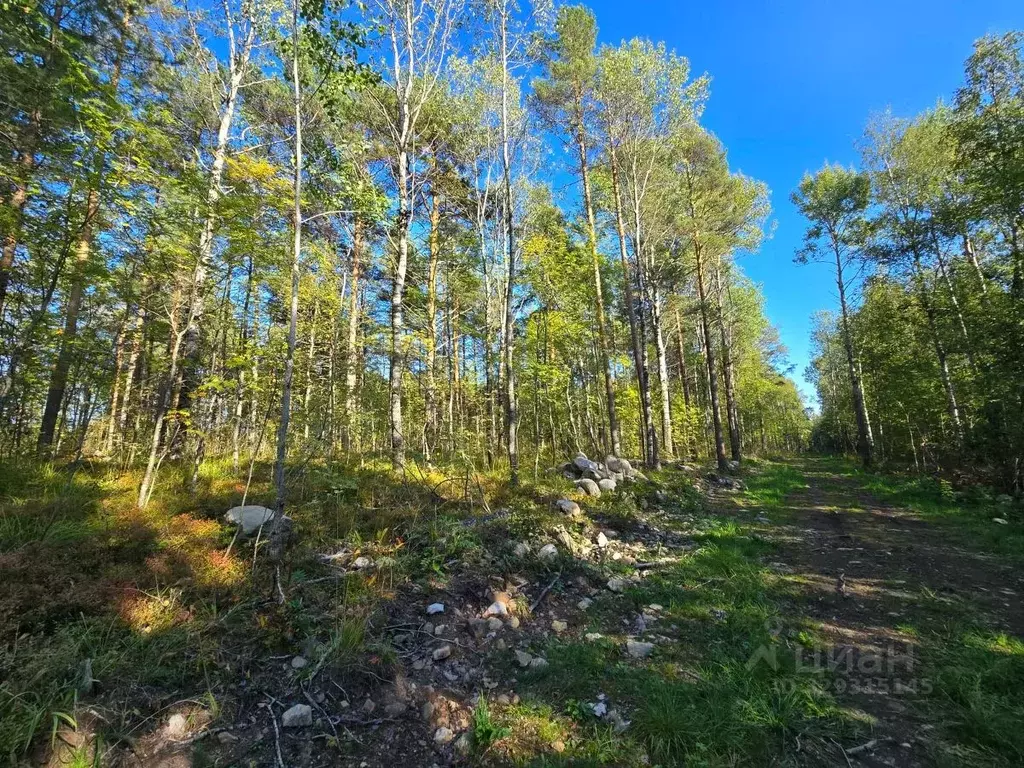 Участок в Карелия, Прионежский муниципальный район, Заозерское с/пос, ... - Фото 1