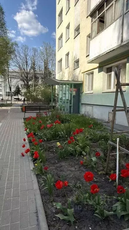 2-к кв. Белгородская область, Белгород ул. Железнякова, 7 (45.7 м) - Фото 1