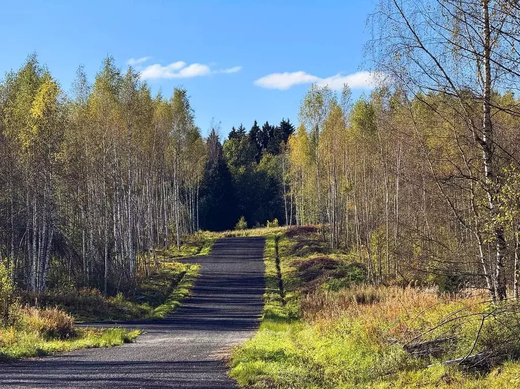 Участок в Московская область, Дмитровский муниципальный округ, Сбоево ... - Фото 2