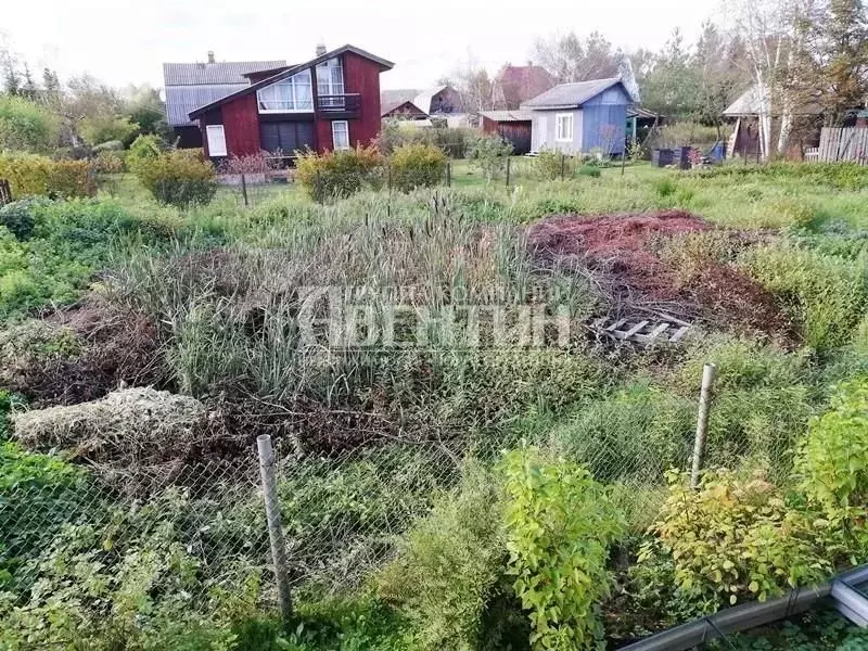 Участок в Ленинградская область, Всеволожский район, Колтушское ... - Фото 1