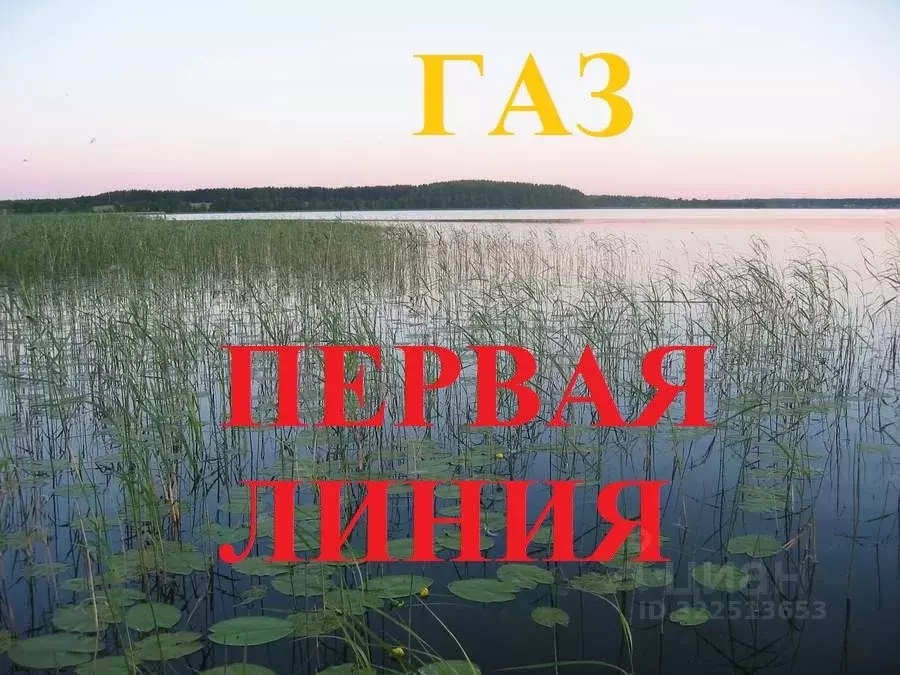 Участок в Тверская область, Осташковский муниципальный округ, д. Конец ... - Фото 0