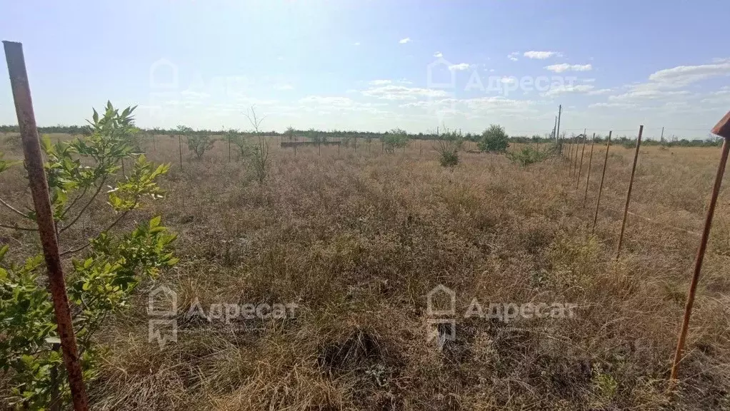 Участок в Волгоградская область, Волгоград ул. Жасминовая (10.82 сот.) - Фото 0