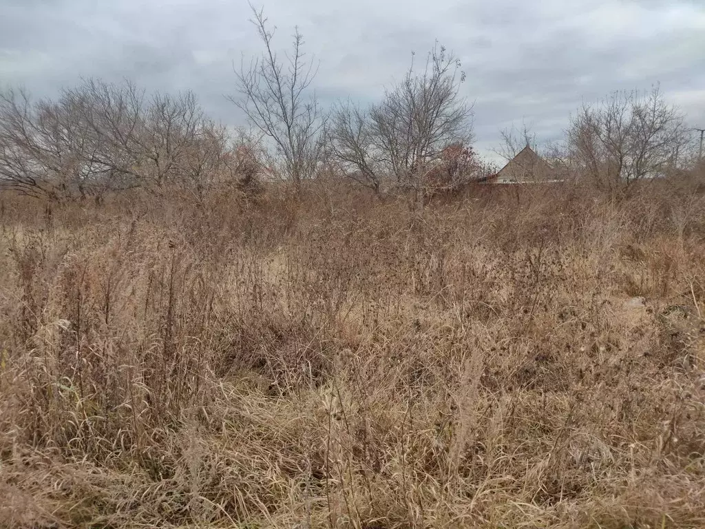 Участок в Челябинская область, Красноармейский район, с. Бродокалмак ... - Фото 0