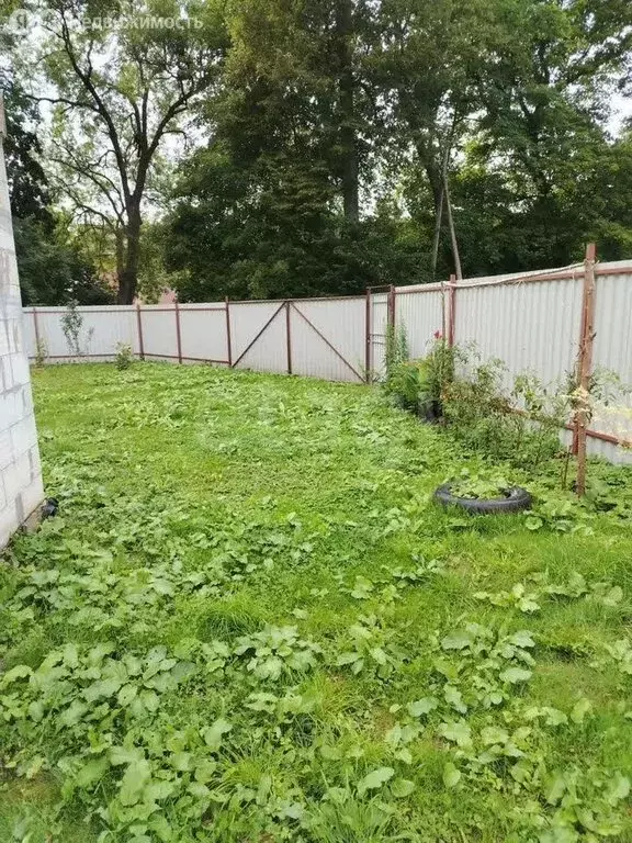 Участок в Калининградская область, Приморск (9 м) - Фото 2