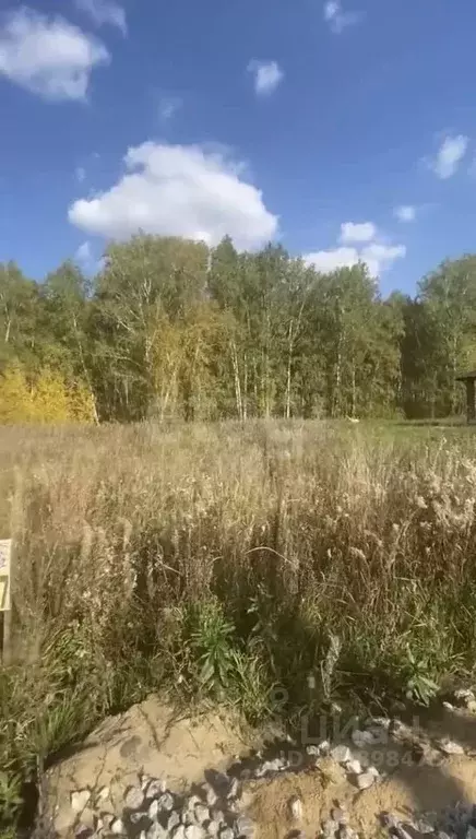 Участок в Тюменская область, Тюменский муниципальный округ, д. Елань ... - Фото 1