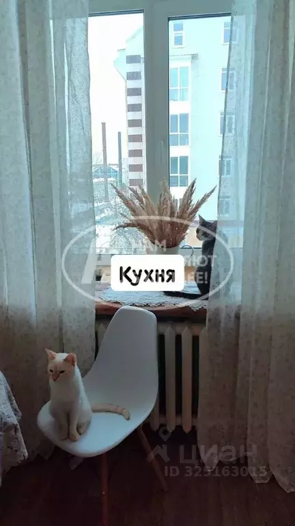 3-к кв. Пермский край, Лысьва ул. Мира, 37 (71.7 м) - Фото 2