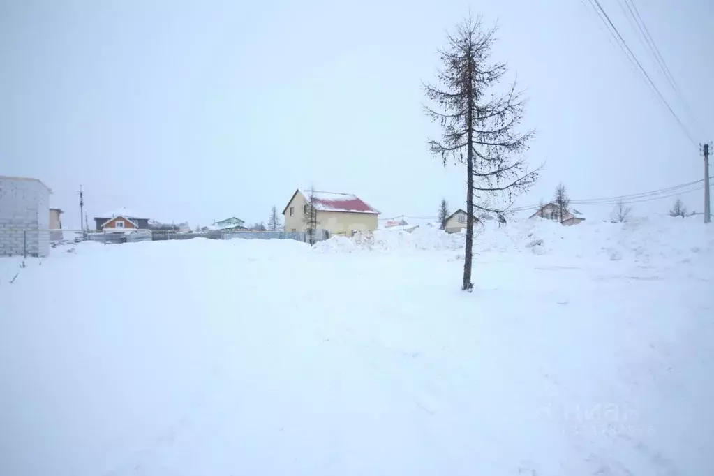 Участок в Ямало-Ненецкий АО, Новый Уренгой Лира ДНТ, ул. Степная, 33 ... - Фото 1