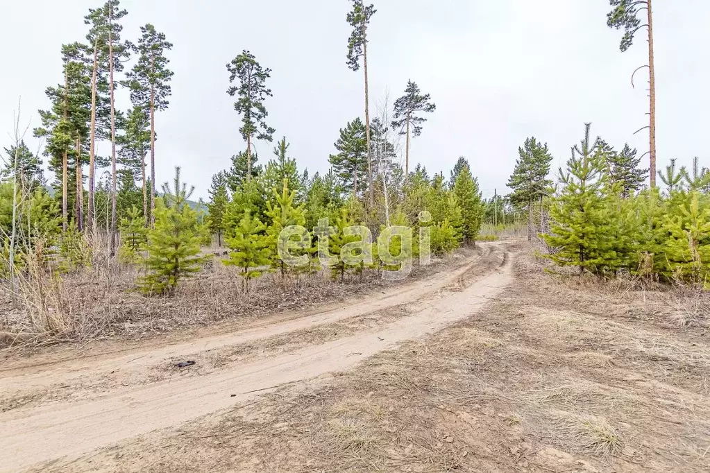 Участок в Бурятия, Улан-Удэ Весна ДНТ, Б4 (8.0 сот.) - Фото 2