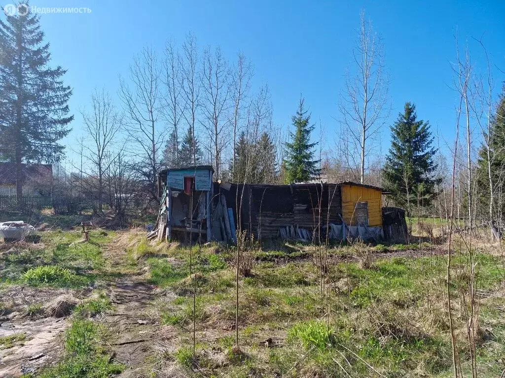 Дом в Кусинское сельское поселение, садоводческий массив Посадников ... - Фото 0