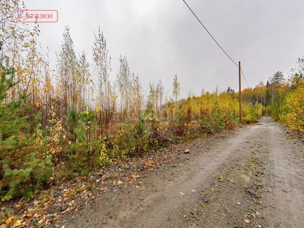 Участок 12,5 сот. (ИЖС) - Фото 0