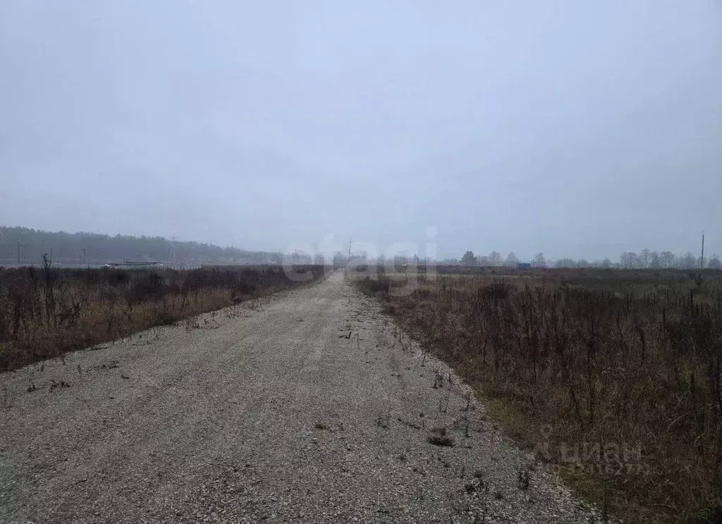 Участок в Брянская область, Брянский район, Новодарковичское с/пос, д. ... - Фото 1