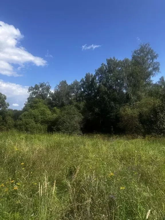 Участок в Москва № 46 кв-л, 15 (7.0 сот.) - Фото 1