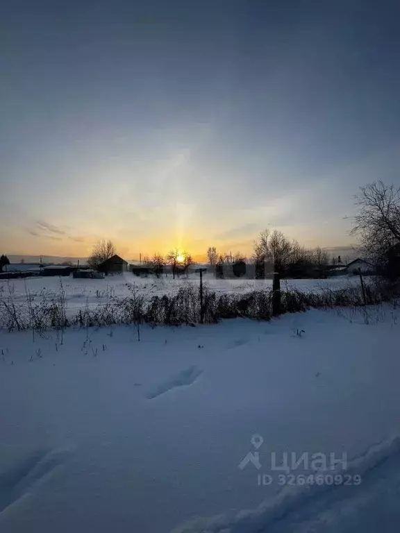 Участок в Алтай, Майминский район, с. Подгорное Центральная ул. (8.0 ... - Фото 1
