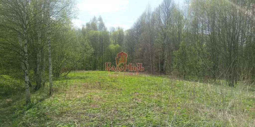 Участок в Владимирская область, Александровский район, ... - Фото 0