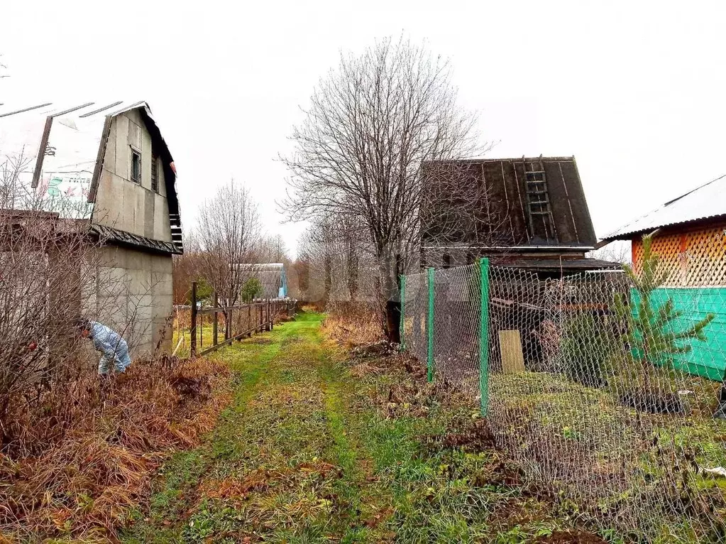 Дом в Вологодская область, Сокольский муниципальный округ, Майский ... - Фото 2
