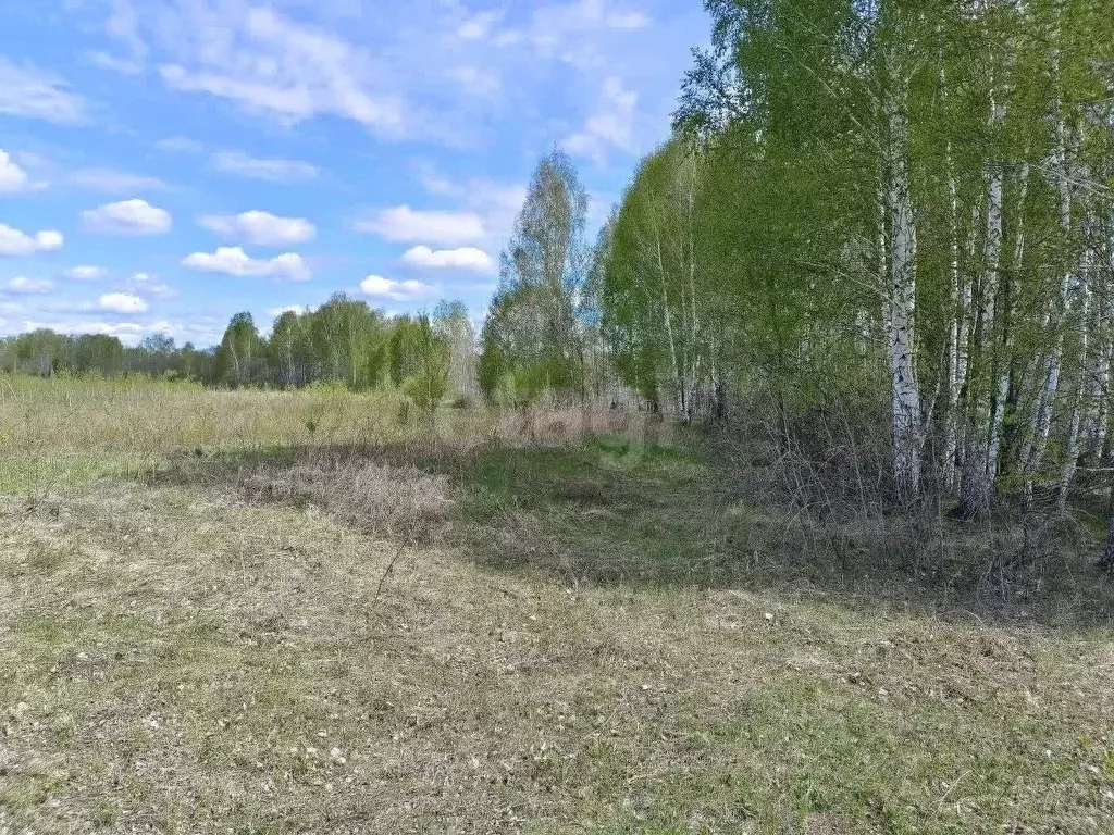 Участок в Свердловская область, Слободо-Туринский район, ... - Фото 1