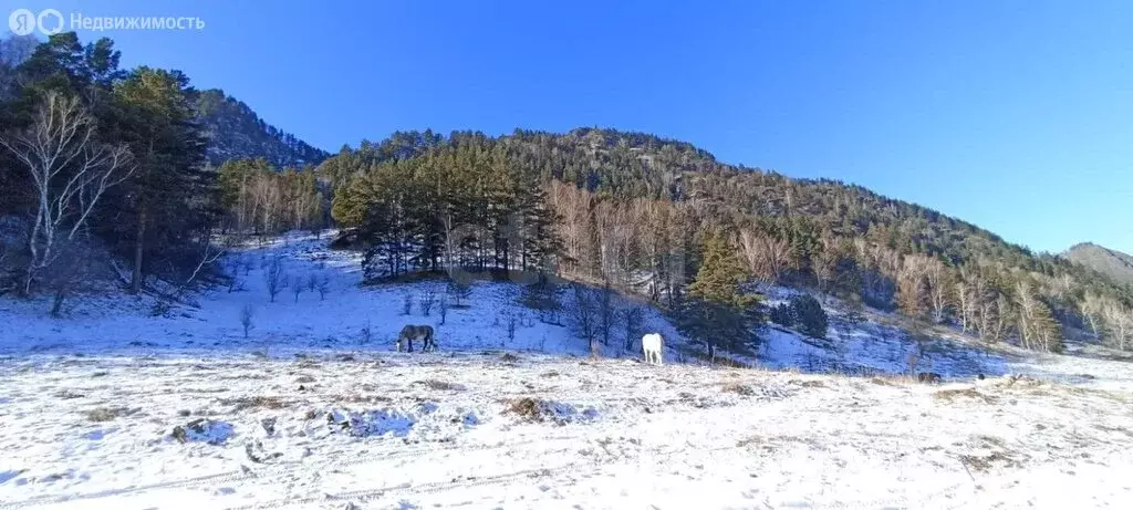 Участок в Чемальский район, ДПК Рублёвка, Садовая улица (11.6 м) - Фото 1