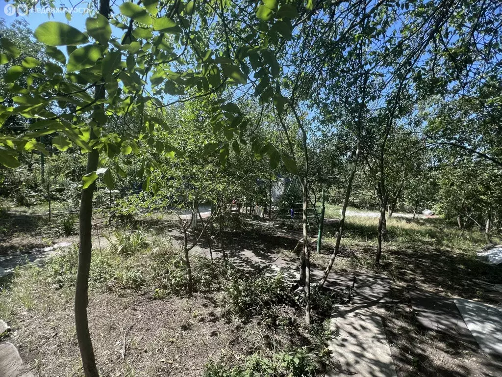 Участок в Ростов-на-Дону, садовое товарищество Садовод-Любитель, ... - Фото 1