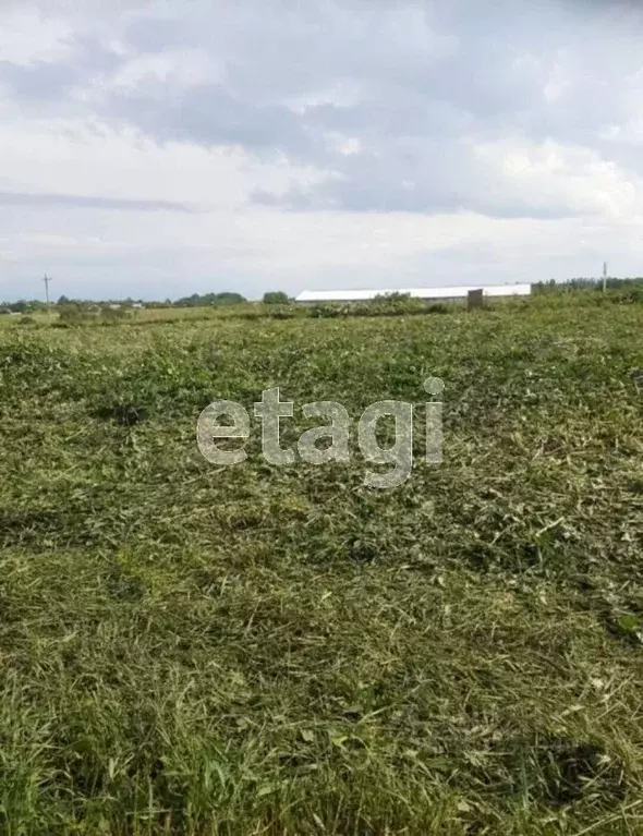 Участок в Вологодская область, пос. Васильевское  (15.0 сот.) - Фото 0
