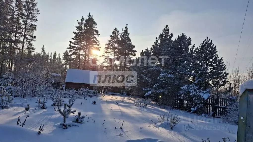 Участок в Свердловская область, Екатеринбург Луч ТОО Горнощитское КС, ... - Фото 1