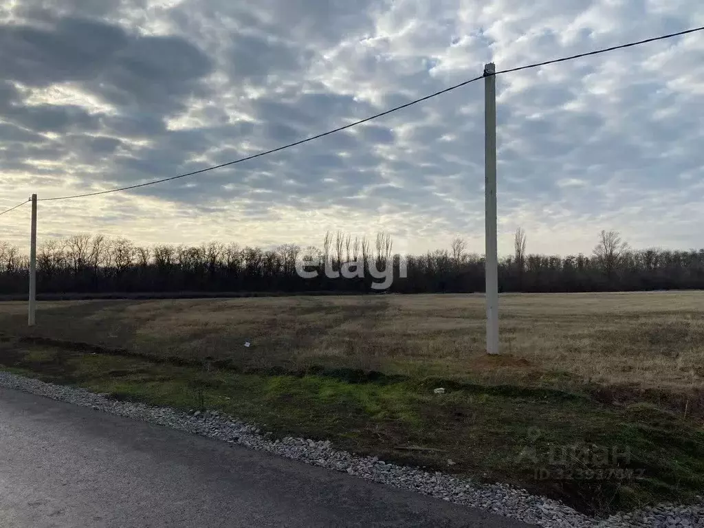 Участок в Ростовская область, Аксайский район, Большелогское с/пос, ... - Фото 1