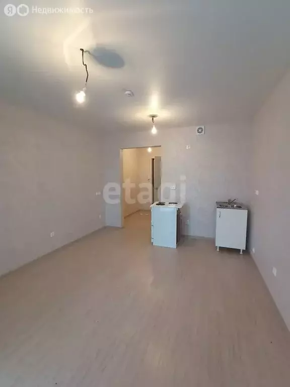 Квартира-студия: село Фролы, Балтийская улица, 2 (23.4 м) - Фото 1