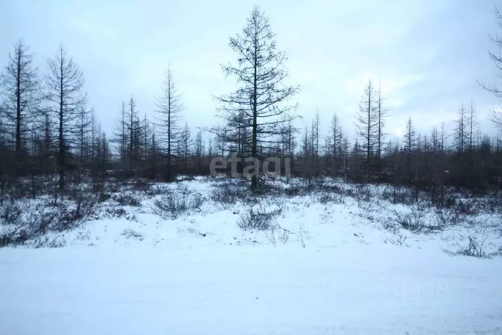 Участок в Ямало-Ненецкий АО, Новый Уренгой Титан ДНТ,  (4.0 сот.) - Фото 1