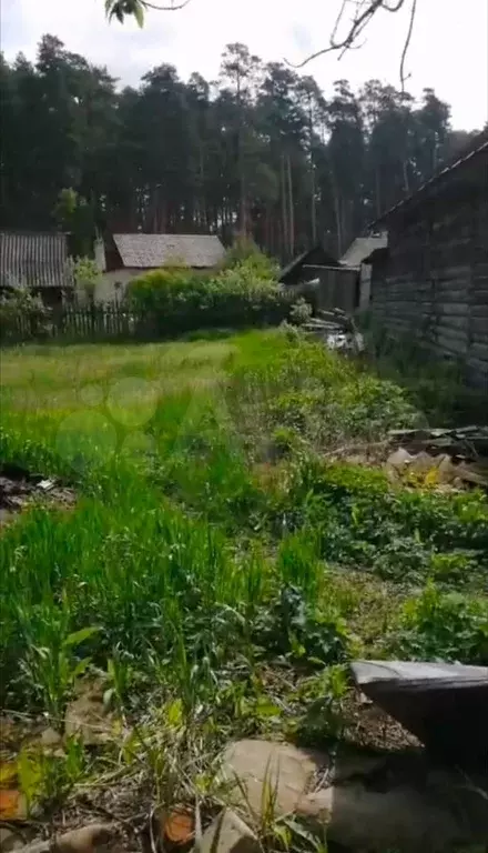 Участок 6 га (ИЖС) - Фото 1