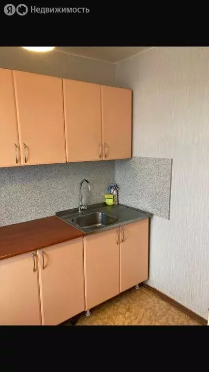 1-комнатная квартира: Воронеж, улица Генерала Лизюкова, 83 (32 м) - Фото 1