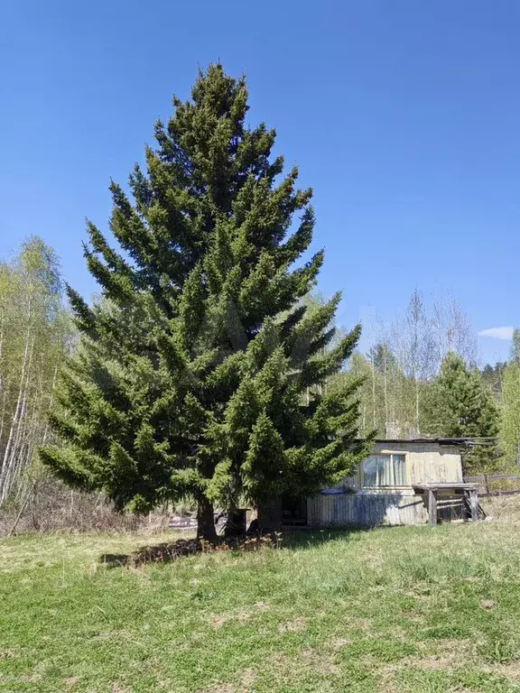 Дом 62 м на участке 6 сот. - Фото 1