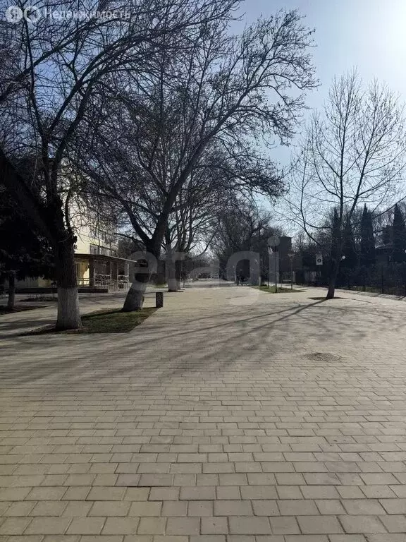 2-комнатная квартира: Саки, Курортная улица, 61 (48 м) - Фото 2