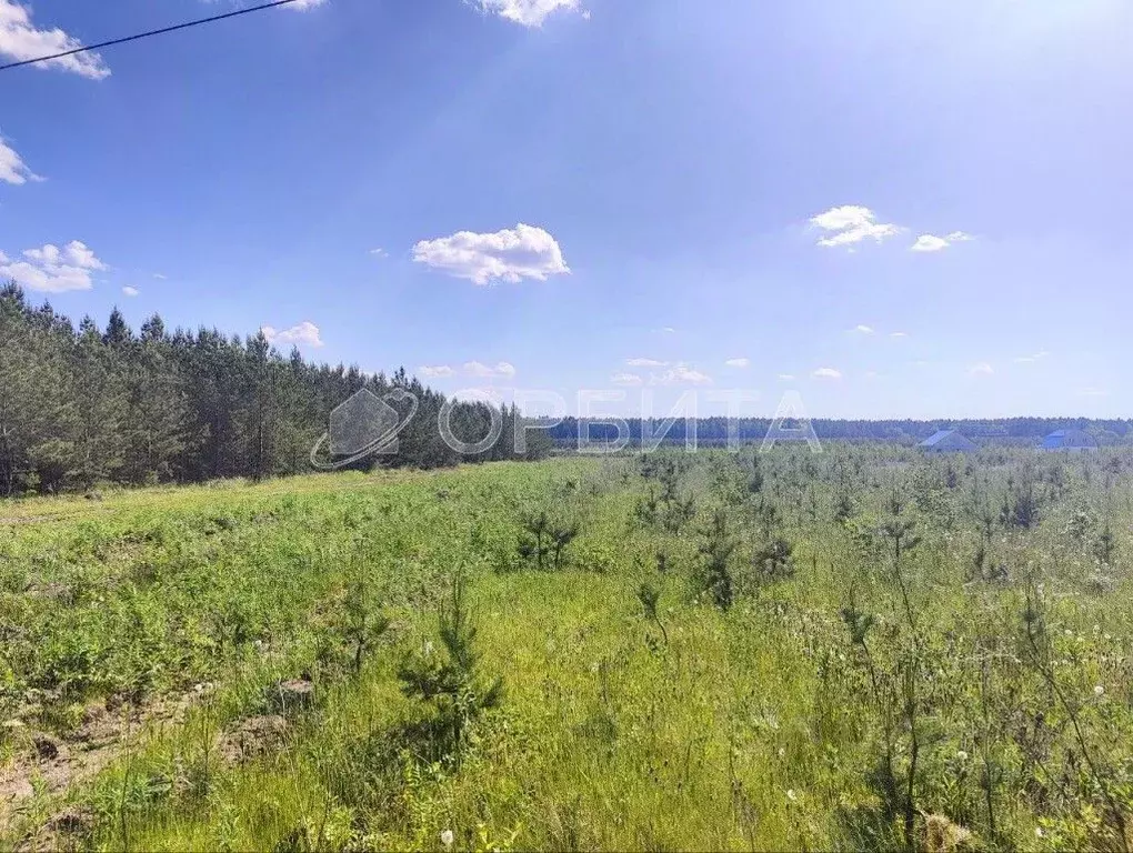 Участок в Тюменская область, Тюмень На Липовом кп, ул. Николая Егорова ... - Фото 1