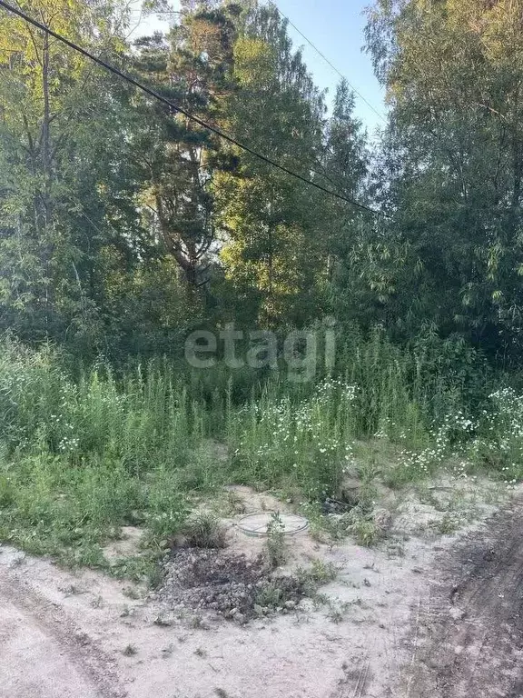 участок в новосибирская область, новосибирск садового товарищества . - Фото 1