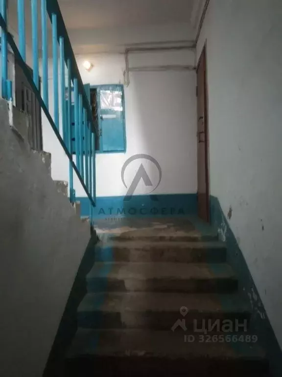 2-к кв. Краснодарский край, Апшеронск ул. Комарова (50.0 м) - Фото 2