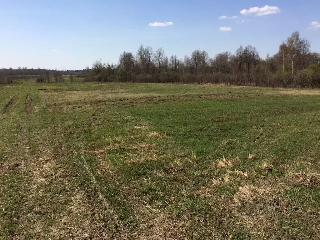 Участок в Тверская область, Калининский муниципальный округ, д. ... - Фото 1