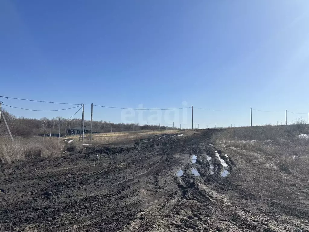 Участок в Белгородская область, Белгородский район, Дубовское с/пос, ... - Фото 2
