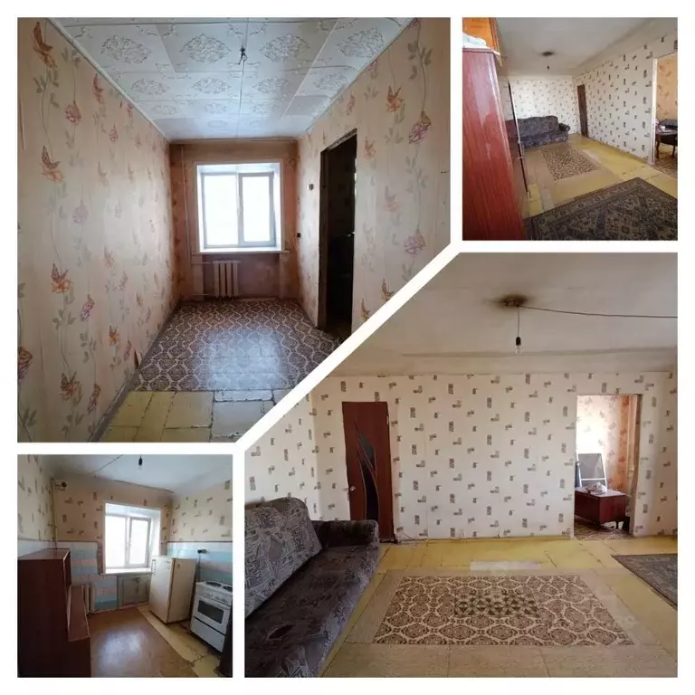2-к кв. Алтайский край, Рубцовск ул. Крылова, 1 (42.0 м) - Фото 0