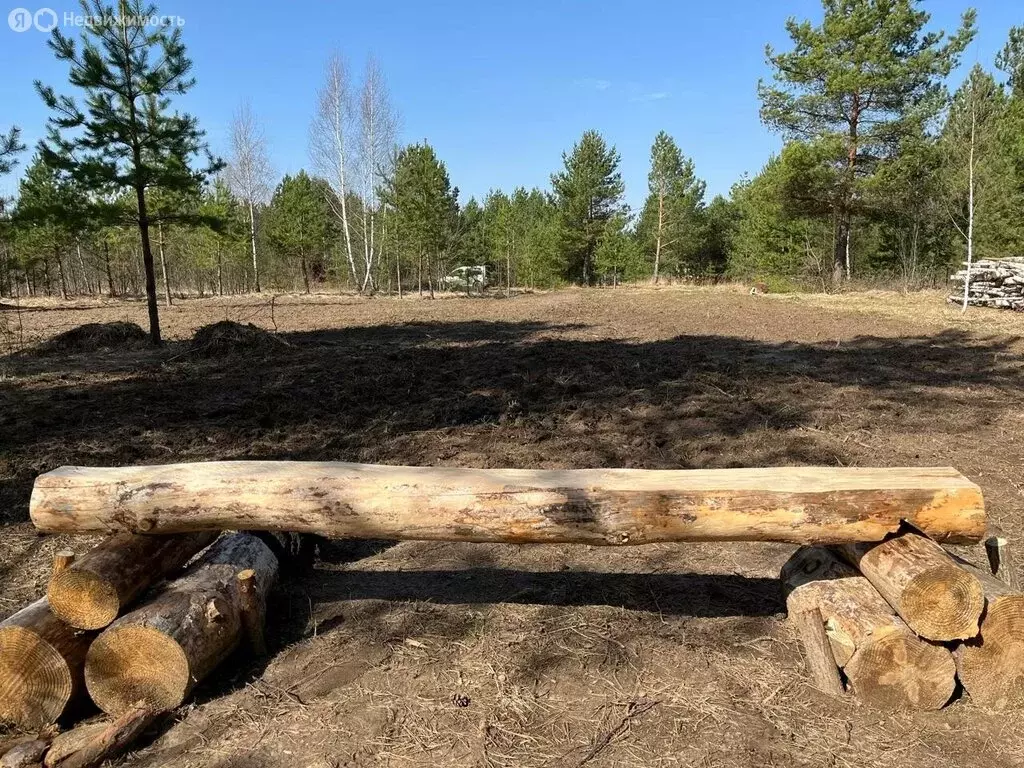 Участок в Суздальский район, муниципальное образование Селецкое, село ... - Фото 0