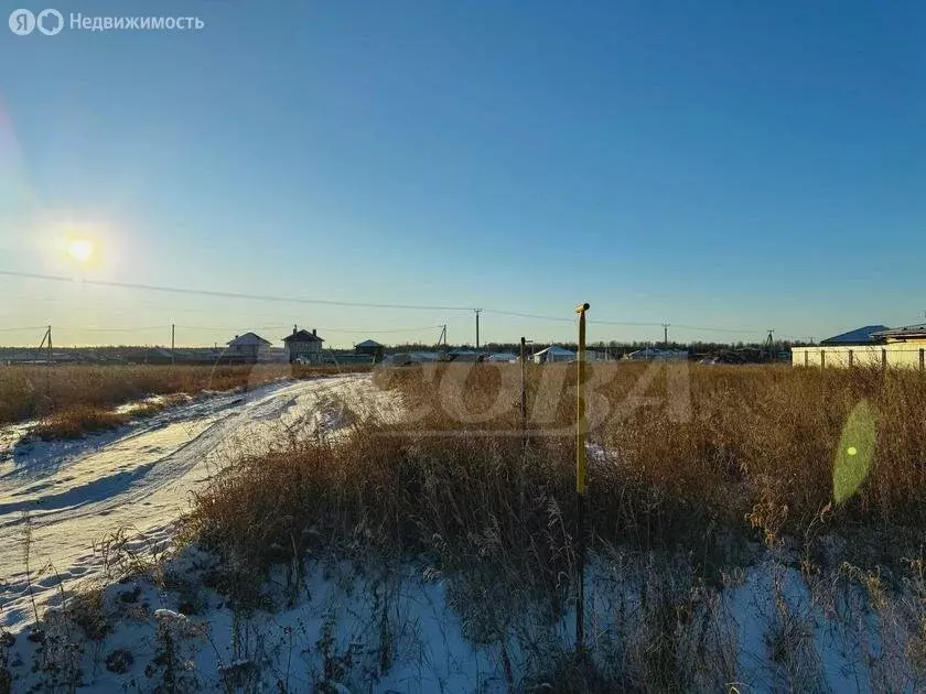 Участок в Тюменский район, деревня Падерина (8.2 м) - Фото 0