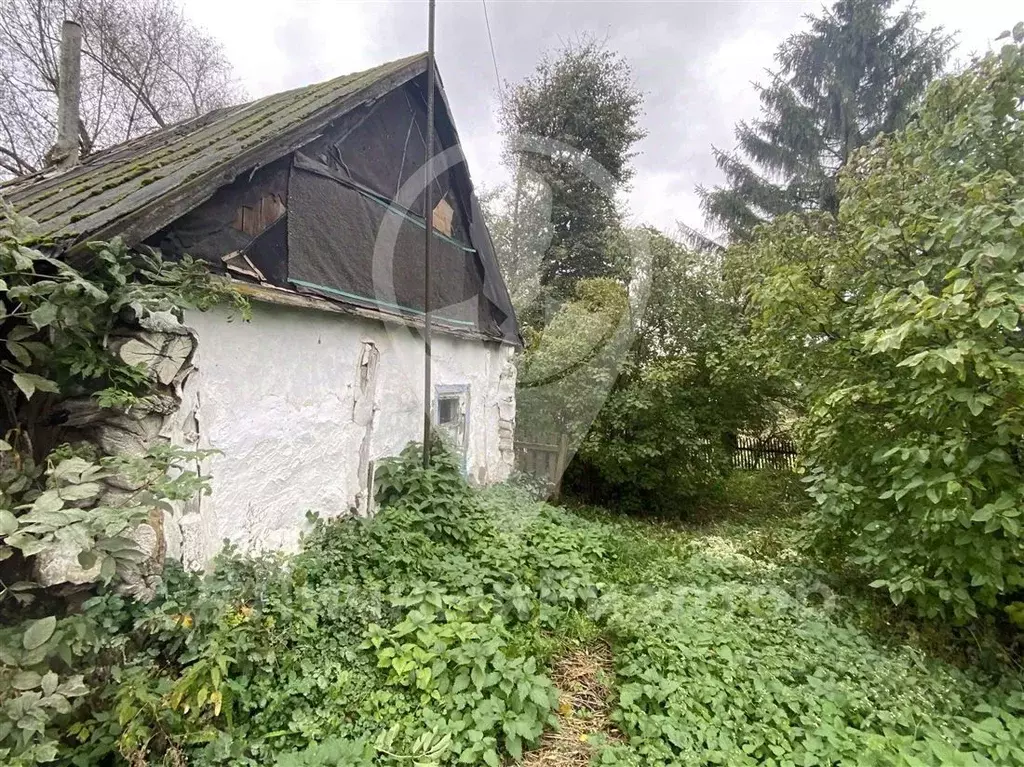 Дом в Рязанская область, Михайловский муниципальный округ, с. Голдино ... - Фото 2