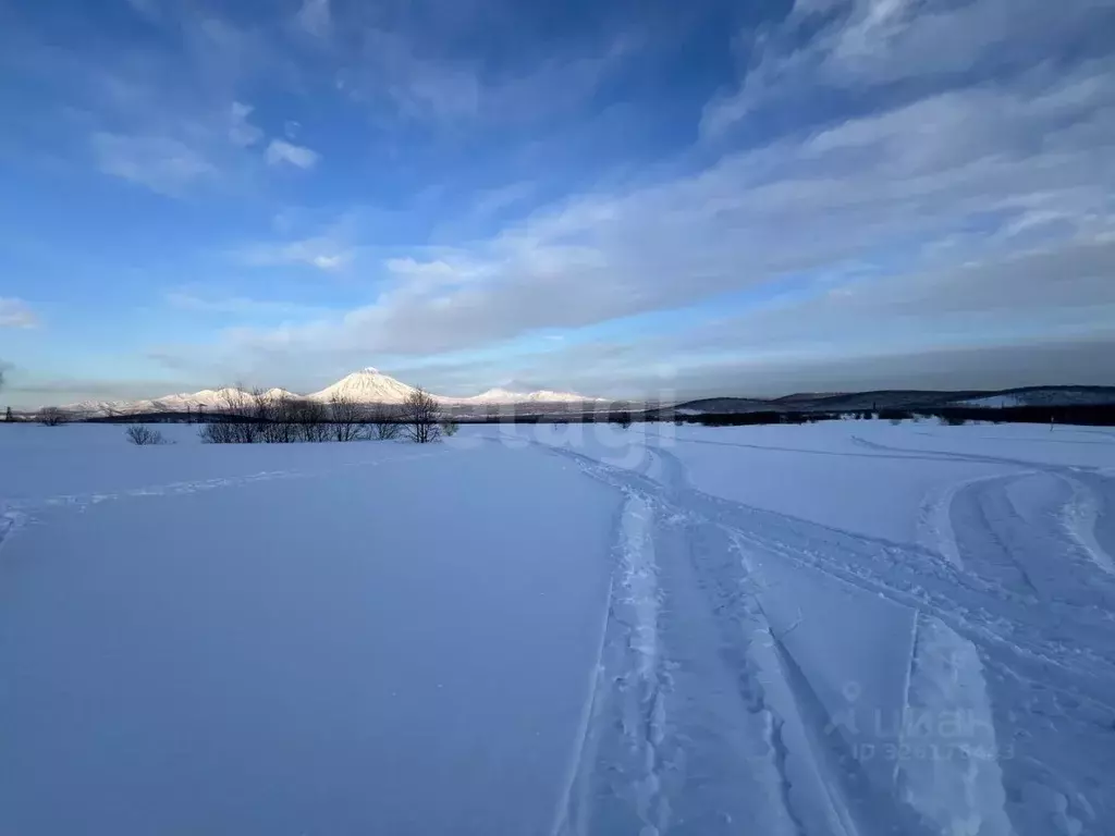 Участок в Камчатский край, Елизовский муниципальный округ, Таежный-2 ... - Фото 1