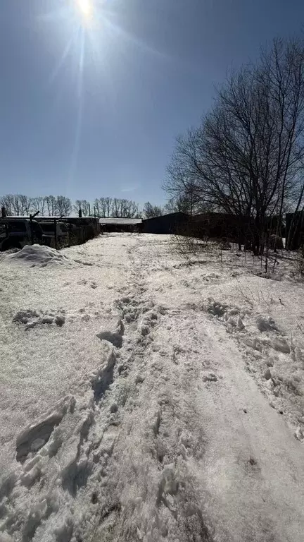 Участок в Хабаровский край, Хабаровский район, с. Восточное ... - Фото 1