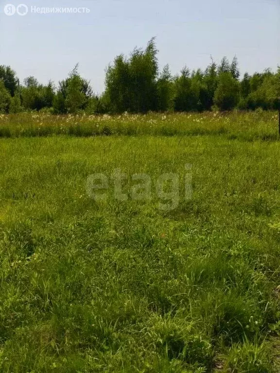 Участок в Казань, улица Вятский Овраг (15 м) - Фото 2