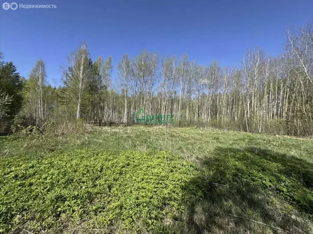 Участок в Тобольск, микрорайон Усадьба (8.9 м) - Фото 1