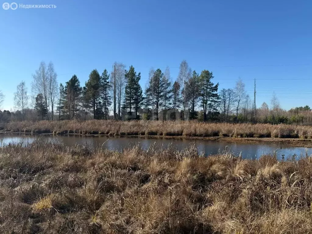 Участок в Бессоновский район, посёлок Подлесный, КП Лесное озеро (6 м) - Фото 2