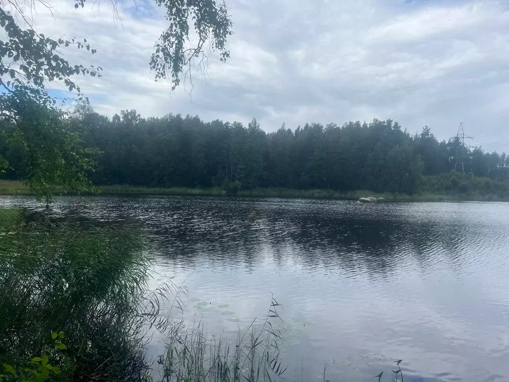 Участок в Приозерский район, Ромашкинское сельское поселение, посёлок ... - Фото 1