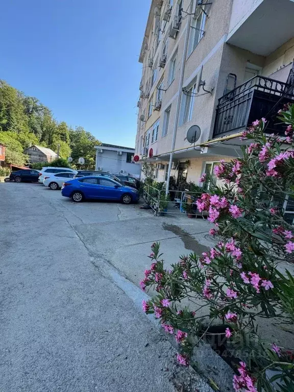 2-к кв. Краснодарский край, Сочи Макаренко СНТ, ул. Олимпийская, 25 ... - Фото 2